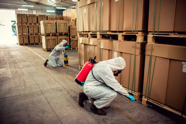 Best Wasp Removal Services  in Gainesville, VA