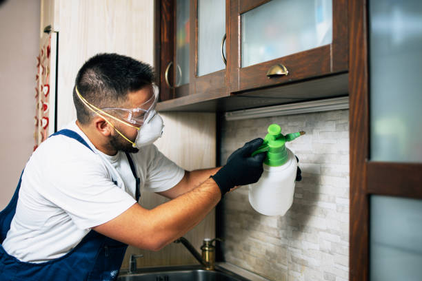 Best Emergency Pest Control  in Gainesville, VA