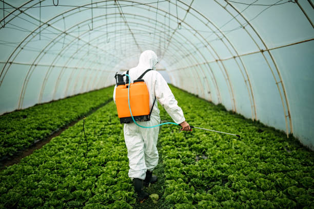Best Best Pest Control Companies  in Gainesville, VA
