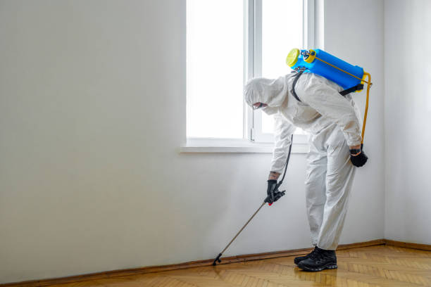 Best Pest Removal Services  in Gainesville, VA