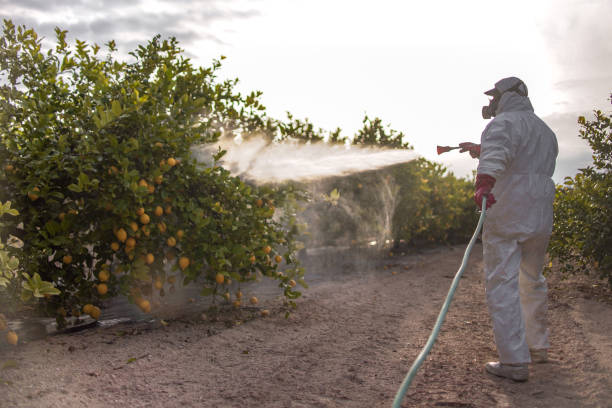 Best Pest Removal Services  in Gainesville, VA
