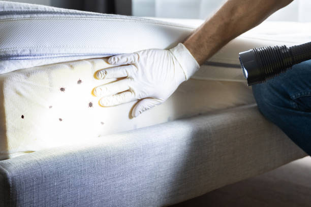  Gainesville, VA Pest Control Pros