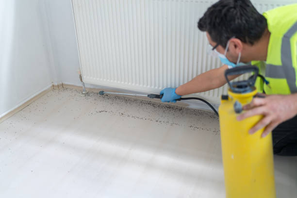 Best Affordable Pest Control Services  in Gainesville, VA