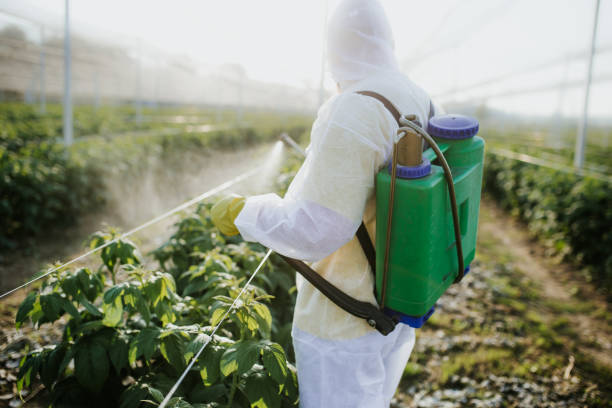 Reliable Gainesville, VA Pest Control Solutions